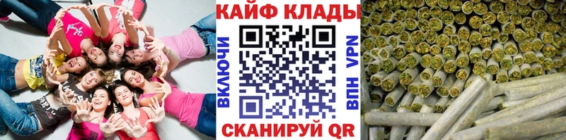 Какие есть наркотики Венёв COCAIN  МДМА  ГАШИШ  Псилоцибиновые грибы  Мефедрон  МАРИХУАНА  АМФЕТАМИН 