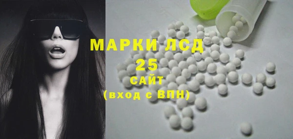 стафф Арсеньев