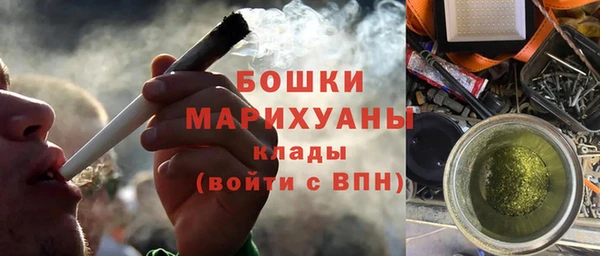 стафф Арсеньев
