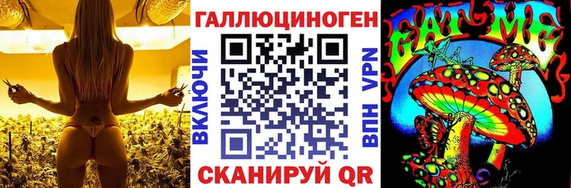OMG tor  Венёв  Галлюциногенные грибы ЛСД 